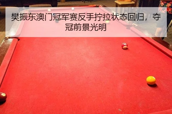 樊振东澳门冠军赛反手拧拉状态回归，夺冠前景光明
